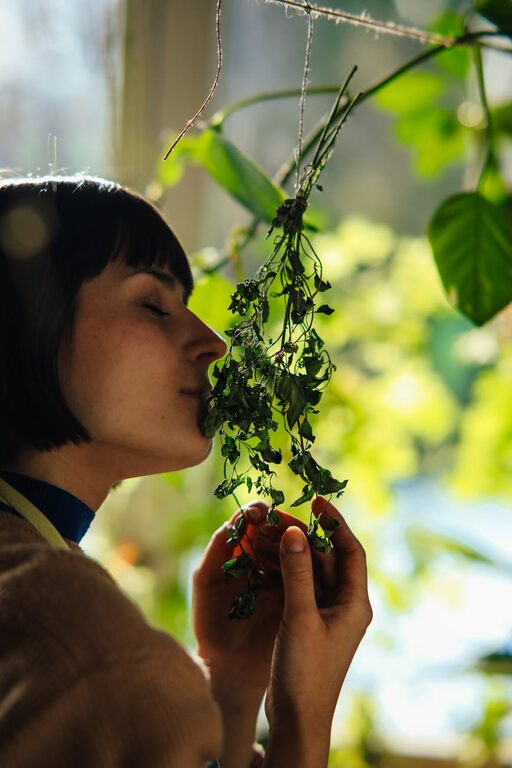 How to Start a Small Herb Garden Indoors: A Beginner’s Guide